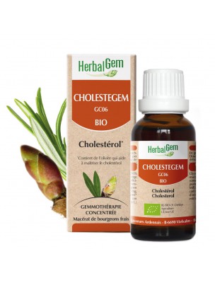 Image de CholesteGEM GC06 Organic - Cholesterol 30 ml Herbalgem depuis The buds of plants for the digestion