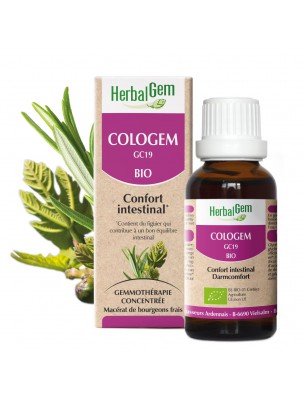 Image de ColoGEM GC19 Bio - Confort intestinal 30 ml - Herbalgem via Acheter Stomagem GC23 Bio -  Confort digestif 30 ml -