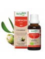 Image de CordiaGEM GC04 Bio - Rythme cardiaque 30 ml - Herbalgem via Acheter Ail, Olive, Aubépine - Tension 80 gélules -