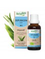 Image de DepuraGEM GC07 Organic - Liver Drainage 50 ml Herbalgem via Buy Organic birch sap - DépuraSève 250 ml -