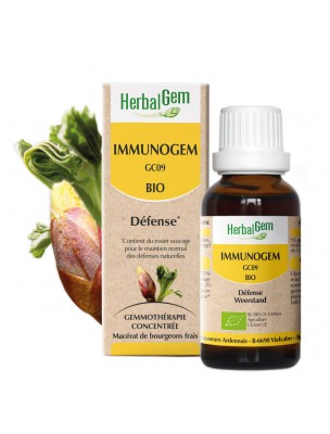 Image de ImmunoGEM GC09 Bio - Défenses immunitaires 15 ml - Herbalgem via Chlorelle Bio - Protéines et Vitamine B12 300 comprimés - Nature et Partage