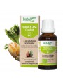 Image de MidoGEM Comfort GC24 Organic - Headache Prevention 50 ml - Herbalgem via Buy Peppermint Organic - Essential oil of Mentha x piperita L. 10