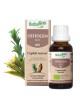 OsteoGEM GC13 Bio - Ostéoporose Bourgeons et jeunes pousses 30 ml - Herbalgem
