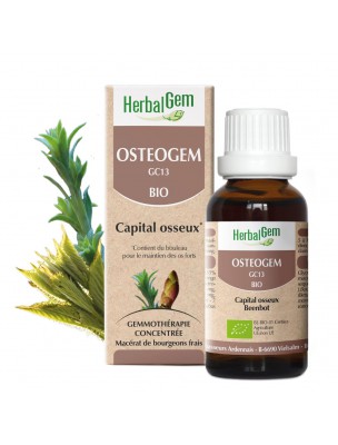 Image de OsteoGEM GC13 Bio - Ostéoporose Bourgeons et jeunes pousses 30 ml - Herbalgem via Consoude Bio - Racine coupée 100g - Tisane de Symphytum L.