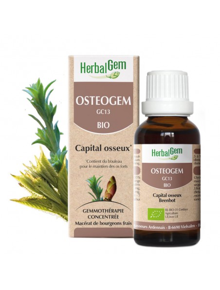 OsteoGEM GC13 Bio - Ostéoporose Bourgeons et jeunes pousses 30 ml - Herbalgem