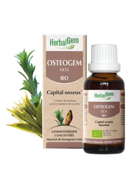 Image principale de OsteoGEM GC13 Bio - Ostéoporose Bourgeons et jeunes pousses 30 ml - Herbalgem