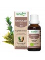 Image de OsteoGEM GC13 Bio - Ostéoporose Bourgeons et jeunes pousses 30 ml - Herbalgem via Acheter Prêle Bio - Partie aérienne coupée 100g - Tisane d'Equisetum