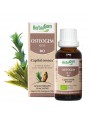 Image de OsteoGEM GC13 Organic - Osteoporosis buds and young shoots 50 ml - Herbalgem via Buy Warty Birch bud macerate Sans Alcohol Bio -