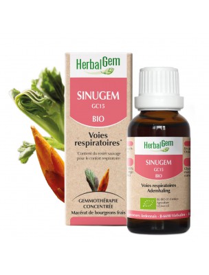 Image de SinuGEM GC15 Bio - Voies respiratoires 30 ml - Herbalgem via Sirop Apaisant Bio - Gorge 250 ml - Herbalgem