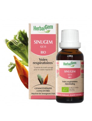 Image de SinuGEM GC15 Bio - Voies respiratoires 30 ml - Herbalgem via Achetez Aunée Officinale - 100g - Tisane d'Inula helenium