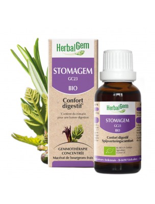 Image de Stomagem GC23 Bio -  Confort digestif 30 ml - Herbalgem via Gingembre Bio 5 ml - Huile essentielle Zingiber officinale - Pranarôm