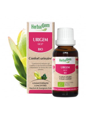 Image de UriGEM GC27 Bio - Confort urinaire en Gemmothérapie 30 ml - Herbalgem via Arbre à Thé Bio - Huile essentielle de Melaleuca alternifolia Purasana
