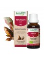 Image de VenaGEM GC17 Bio - Venous Circulation 30 ml Herbalgem via Buy Pistachio Mastic Organic - Pistacia Essential Oil