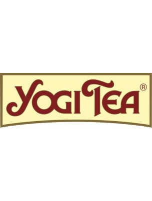 Curcuma Orange Bio - Infusions Ayurvédiques 17 sachets - Yogi Tea