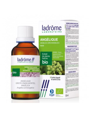 Image de Angélique Bio - Digestion Teinture-mère Angelica archangelica 50 ml - Ladrôme depuis louis-herboristerie