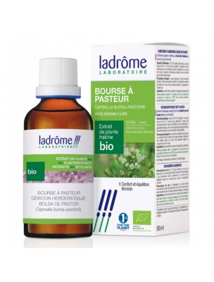 Image de Bourse à Pasteur Bio - Cycle Féminin Teinture-mère Capsella bursa-pastoris 50 ml - Ladrôme depuis Achetez les produits Ladrôme à l'herboristerie Louis