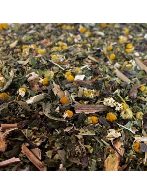 Image de Tisane Digestion N°6 Après-Repas - Mélange de plantes - 100 grammes depuis Achetez les produits Louis à l'herboristerie Louis (17)