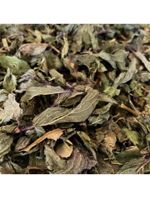 Image de Tisane Vitalité N°3 pH Neutre - Mélange de plantes - 100 grammes depuis Tisane Vitalité N°5 - Réveil tonique - 100g