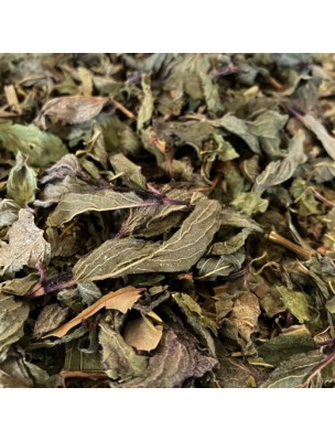 Image de Tisane Vitalité N°3 pH Neutre - Mélange de plantes - 100 grammes depuis Achetez les produits Louis à l'herboristerie Louis (18)