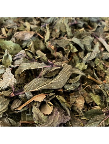 Image principale de Tisane Vitalité N°3 pH Neutre - Mélange de plantes - 100 grammes