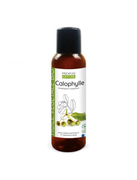 Achetez Calophylle Bio - Huile végétale de Calophyllum inophyllum 100 ml - Propos Nature à l'herboristerie Louis Image principale de Calophylle Bio - Huile végétale de Calophyllum inophyllum 100 ml - Propos Nature