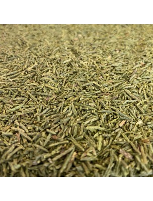 Image de Cyprès - Rameau coupé 100g - Tisane de Cupressus sempervirens depuis louis-herboristerie