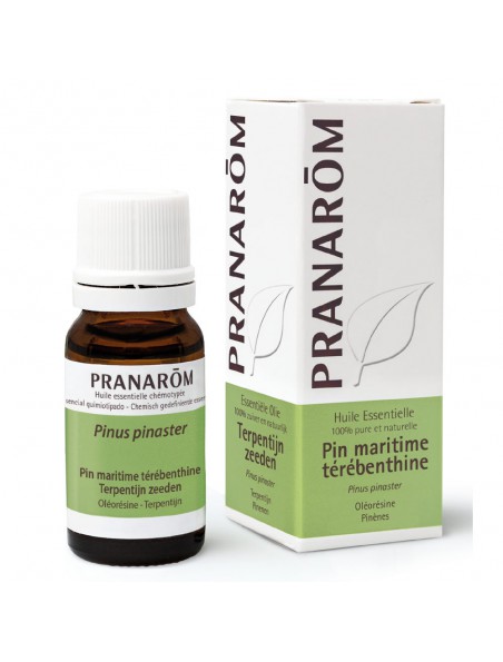 Image principale de Pin maritime Térébenthine - Huile essentielle Pinus pinaster 10 ml - Pranarôm