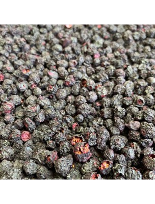 Image de Blackcurrant Bio - Berry 100g - Herbal tea of Ribes nigrum depuis Natural solutions for your transit