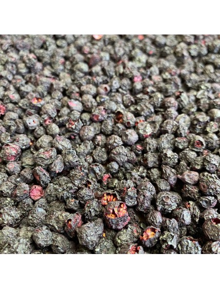 Image principale de Cassis Bio - Baie 100g - Tisane de Ribes nigrum