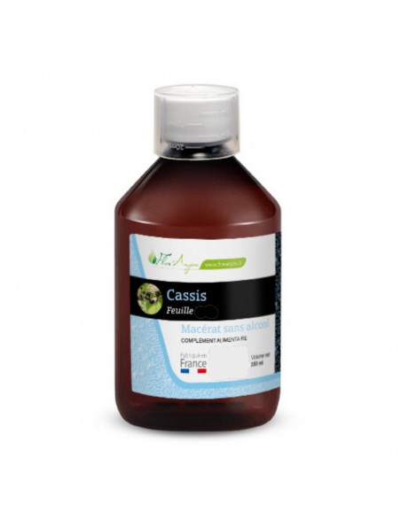 Image principale de Macérat aqueux de Cassis - Elimination 250 ml - Herboristerie Cailleau