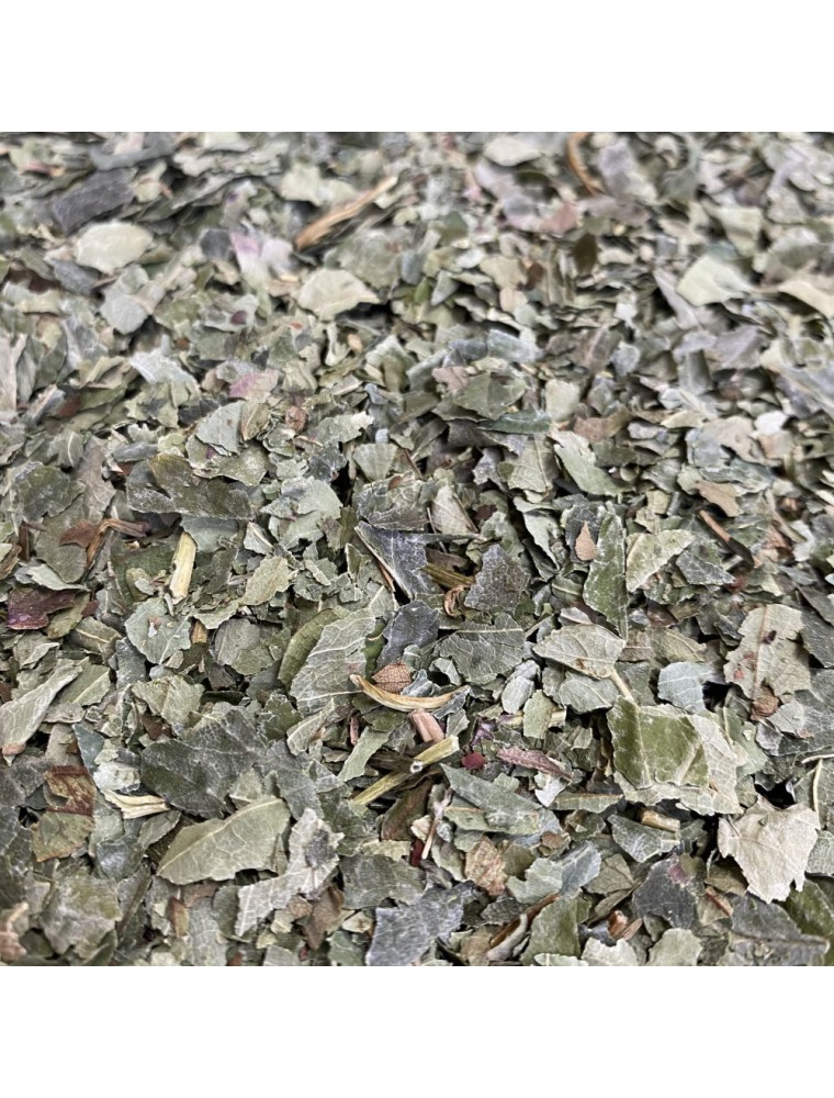 Image principale de la modale pour Fraisier Bio - Feuilles coupées 100 g - Tisane Fragaria vesca