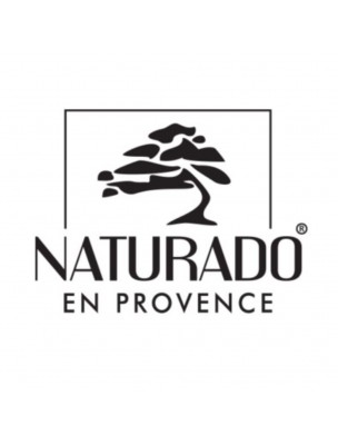 Image 61817 supplémentaire pour Savon Noir Hammam Bio - Savon Neutre à l'Huile d'Olive 600g - Naturado