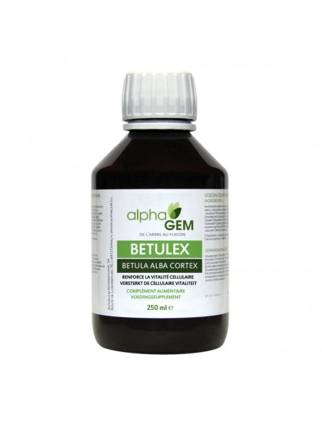 Achetez Betulex - Vitalité Cellulaire 250 ml - Alphagem à l'herboristerie Louis Image principale de Betulex - Vitalité Cellulaire 250 ml - Alphagem
