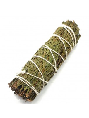 Image de Cèdre - Purification spirituelle - Torche de 20 à 25g depuis Relaxez-vous avec nos produits de phytothérapie et d'herboristerie (2)