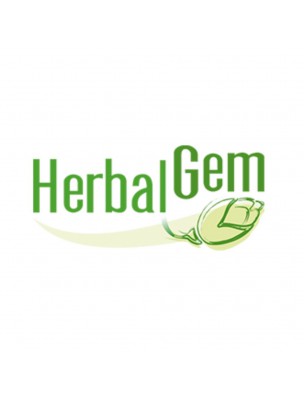 https://www.louis-herboristerie.com/61954-home_default/noctigem-bio-sleep-60-gummies-herbalgem.jpg