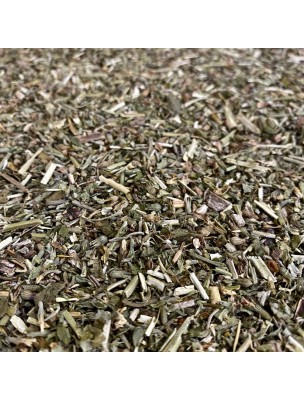 Image de Cataire Bio - Partie aérienne coupée 100 g - Tisane de Nepeta cataria depuis ▷▷ Tisanes de plantes commençant par la lettre C