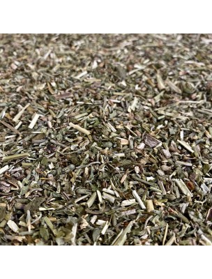 Image de Catnip Bio - Cut aerial part 100 g - Herbal tea of Nepeta cataria depuis New Herbalist products