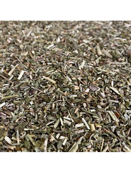 Image principale de Cataire Bio - Partie aérienne coupée 100 g - Tisane de Nepeta cataria