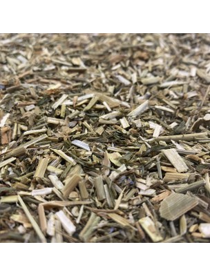 Image de Galega - Partie aérienne 100g - Tisane Galega officinalis L. depuis Commandez les produits Louis Bio à l'herboristerie Louis