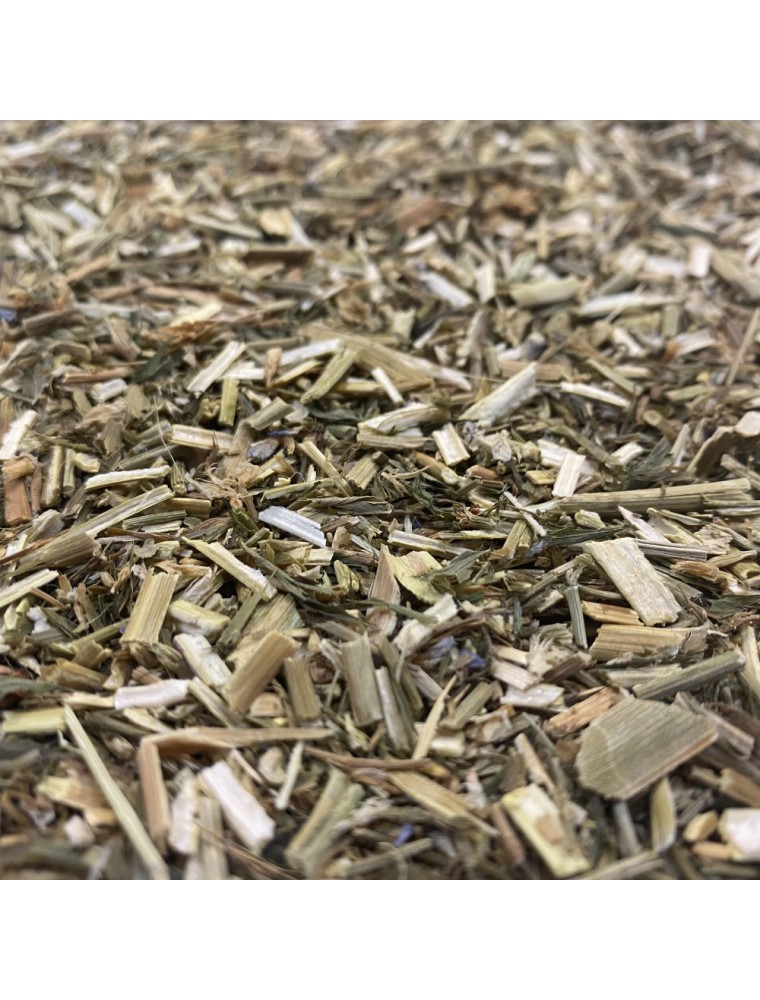 Image principale de la modale pour Galega - Partie aérienne 100g - Tisane Galega officinalis L.