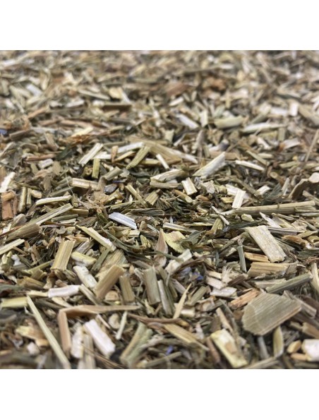 Image principale de Galega - Partie aérienne 100g - Tisane Galega officinalis L.