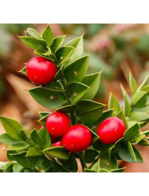 Image 62426 supplémentaire pour Fragon (Petit Houx) Bio - Racine coupée 100g - Tisane de Ruscus aculeatus L.