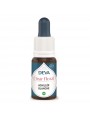 Image de Achillée blanche Bio - Protection Elixir floral 15 ml - Deva via Acheter Aigremoine Bio - Joie et acceptation de soi Elixir Floral de Bach