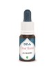 Ail sauvage Bio - Libération des peurs Elixir floral 15 ml - Deva