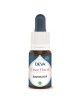 Bouton d\'or Bio - Estime de soi et Confiance Elixir floral 15 ml - Deva
