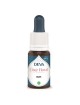 Buis Bio - Liberté et réalisation de soi Elixir floral 15 ml - Deva