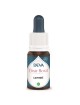 Cayenne Bio - Volonté et Enthousiasme Elixir floral 15 ml - Deva