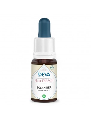 Image de Églantier Bio - Motivation et intérêt dans la vie Élixir Floral de Bach 15 ml - Deva depuis louis-herboristerie