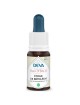 Étoile de Bethléem Bio - Paix et Réconfort Élixir Floral de Bach 15 ml - Deva