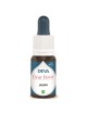 Jasmin Bio - Purification et Acceptation de soi Elixir floral 15 ml - Deva